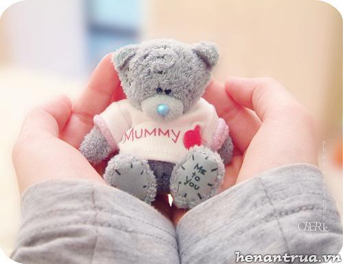 gấu ngốc cố lên