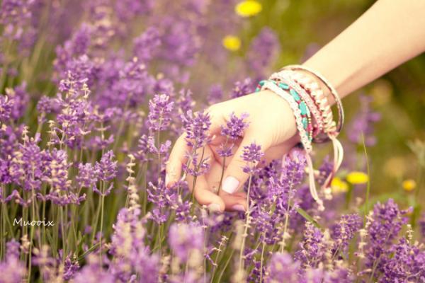 Bạn sinh ra là một nguyên bản, đừng chết như một bản sao