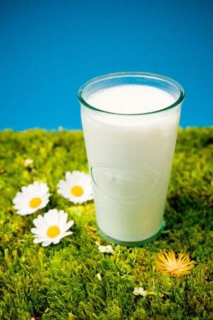 Ly sữa và hóa đơn viện phí