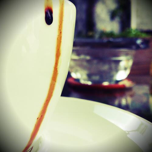 Ảnh: Chim Cụt